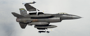 F-16C USAF 90-0762 Block 42J (310th Fighter Squadron) thumbnail 10