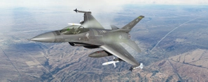 F-16C USAF 90-0762 Block 42J (310th Fighter Squadron) thumbnail 14