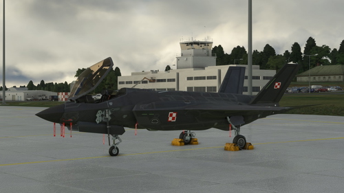 F-35A Polish Air Force (2 liveries)(coloured and grey chessboard)