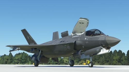 F-35B JASDF 202sq Fictional
