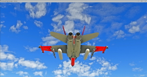 F/A-18C NAWS China Lake Livery  thumbnail 3