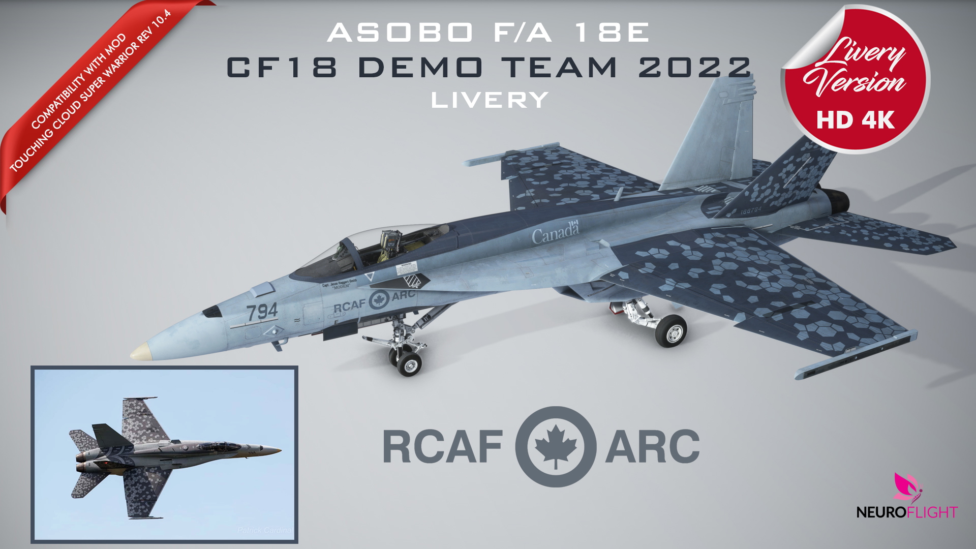 F/A 18E RCAF 2022 DEMO TEAM - Image 1