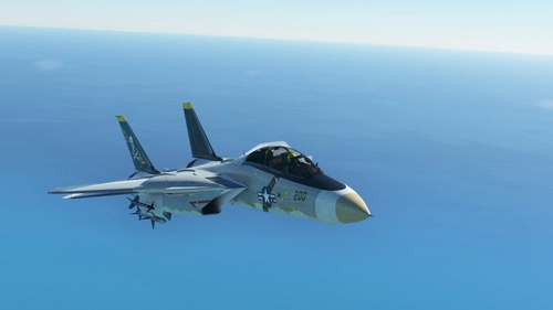 F-14 Tomcat Improvement Mod