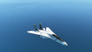 F-14 Tomcat Improvement Mod thumbnail 3