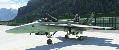 F/A-18C Legacy Hornet J-5011 Tigers c.2011 Staffel 11