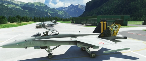 F/A-18C Legacy Hornet J-5011 Tigers c.2020 Staffel 11