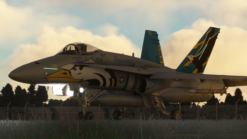 F/A-18C Legacy Hornet VFA-82 Marauders (4K)