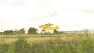 Farm Strip 01DN thumbnail 5
