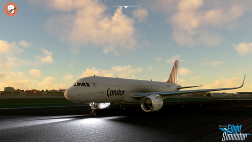 FBW A32Nx Condor Livery