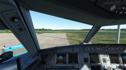 Fenix A319 A320 A321 - Better Cameras