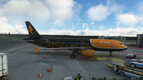 Fenix A320 CFM Air Lince VA