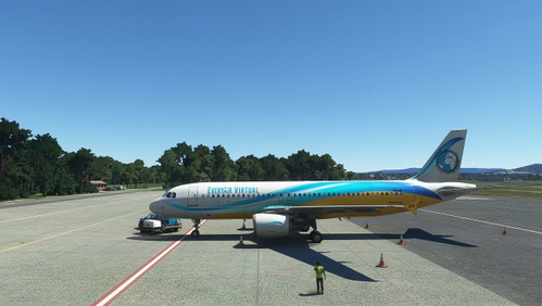 Fenix A320 EveryAir Re-Launch Livery