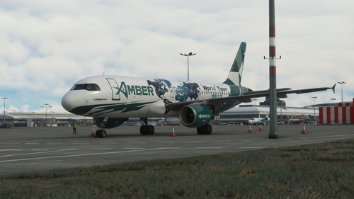 Fenix A320  -  OK-BOB /  Amber Virtual Airlines / 4K - WorldTour