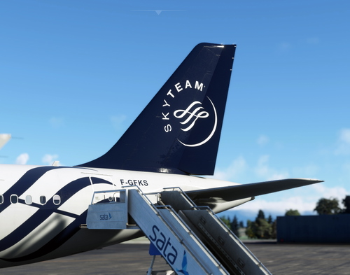 FENIX A320 SkyTeam/ Air France F-GFKS [4K]