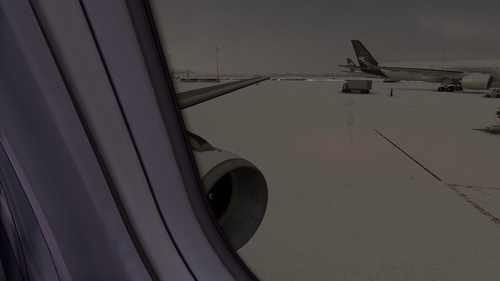 Fenixsim a320 Camera/Wings Views | Cabin Views