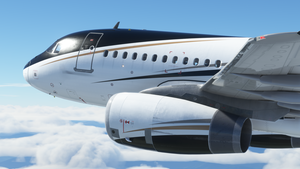 Fictional Private Airbus A319 (N582RH) - 8K thumbnail 8
