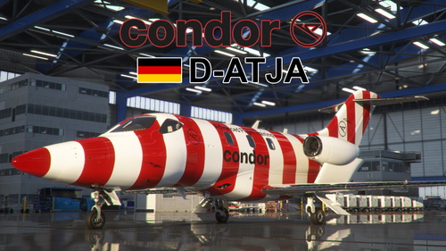 FlightFX Honda HJet Condor "D-ATJA" (Fictional)
