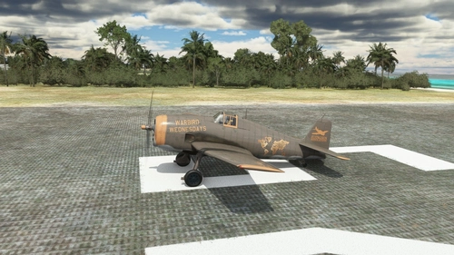 FlyingIron Simulations F6F "Warbird Wednesday" Livery