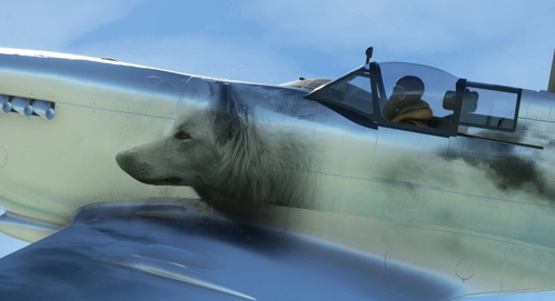 FlyingIron SpitfireIX Repaint Livery: Wolf