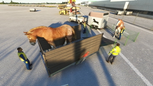 EDFH - Frankfurt Hahn Airport thumbnail 11