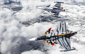 DeimoS G39 Griffin PaintKit thumbnail 3