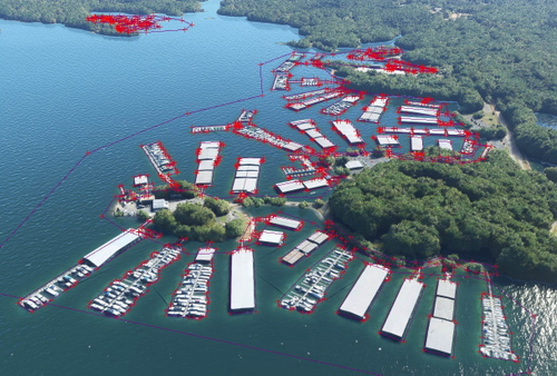 Georgia (GA) Lake Water Fixes (Lanier, Hartwell, Allatoona)