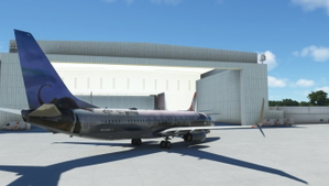 Gol HARRY POTTER PR-XMR PMDG 737-800ssw thumbnail 4