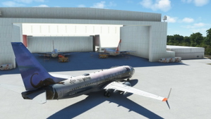 Gol HARRY POTTER PR-XMR PMDG 737-800ssw thumbnail 5