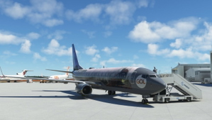 Gol HARRY POTTER PR-XMR PMDG 737-800ssw thumbnail 2