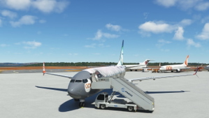 Gol HARRY POTTER PR-XMR PMDG 737-800ssw thumbnail 1