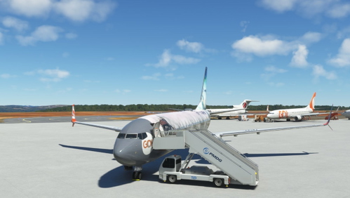 Gol HARRY POTTER PR-XMR PMDG 737-800ssw