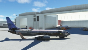 Gol HARRY POTTER PR-XMR PMDG 737-800ssw thumbnail 3