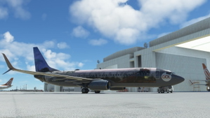 Gol HARRY POTTER PR-XMR PMDG 737-800ssw thumbnail 11