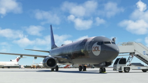 Gol HARRY POTTER PR-XMR PMDG 737-800ssw thumbnail 9
