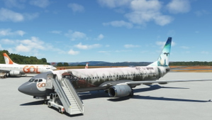 Gol HARRY POTTER PR-XMR PMDG 737-800ssw thumbnail 7