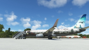 Gol HARRY POTTER PR-XMR PMDG 737-800ssw thumbnail 8