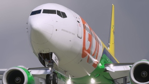 GOL Linhas Aereas 'Brazil Football' PR-GUM - PMDG 737-800 thumbnail 4