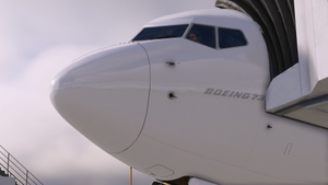 GOL Linhas Aereas 'Brazil Football' PR-GUM - PMDG 737-800 thumbnail 3