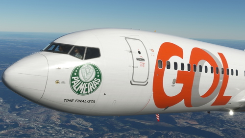 Gol Linhas Aéreas "Palmeiras" PR-GGY