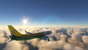 Gol Seleção Brasileira PR-GUM PMDG 737-800  thumbnail 4