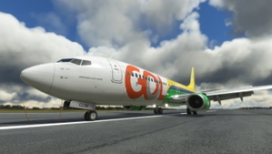 Gol Seleção Brasileira PR-GUM PMDG 737-800  thumbnail 6