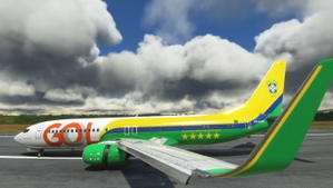 Gol Seleção Brasileira PR-GUM PMDG 737-800  thumbnail 5