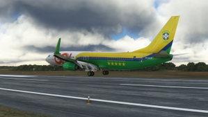 Gol Seleção Brasileira PR-GUM PMDG 737-800  thumbnail 8