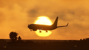 Gol Seleção Brasileira PR-GUM PMDG 737-800  thumbnail 9