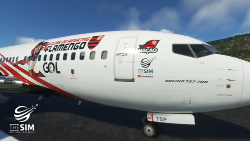 GOL Transportes Aéreos - Clube de Regatas FLAMENGO