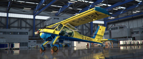 GotFriends WILGA 35A D-EWBX Fliegerclub Taucha