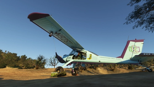 GotFriends Wilga scrufytam "Ava Boyter Memorial" Livery in Ava's Favorite Color