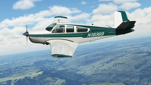 Green Stripes livery for Microsoft/Carenado V35B Bonanza