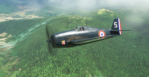 Grumman F6F-5 Hellcat French Air Force GC II/9 Auvergne 'S'