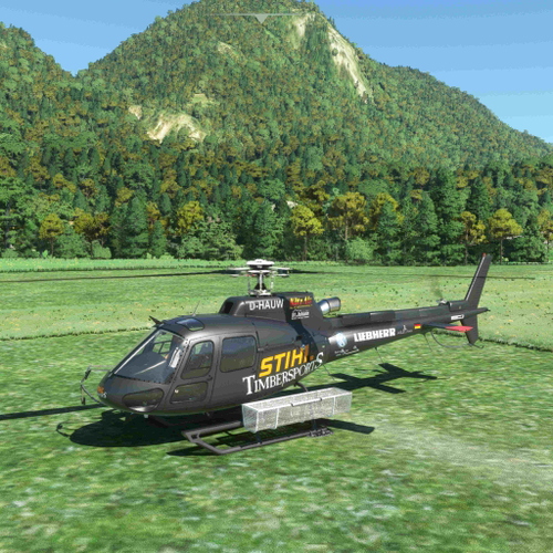 H125 Kitzair D-HAUR Timbersports